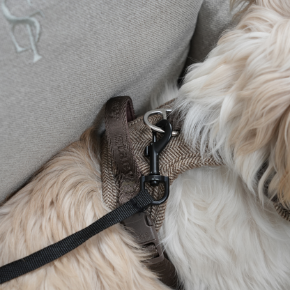 Staey - Lara 3-i-1 Bilsæde, Stone