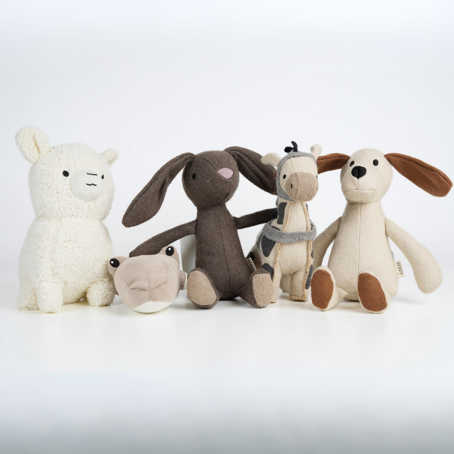 Staey "The Collection" - 5 hundebamser