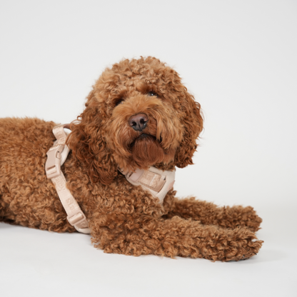 Staey - Elma Hundesele, Light Rose